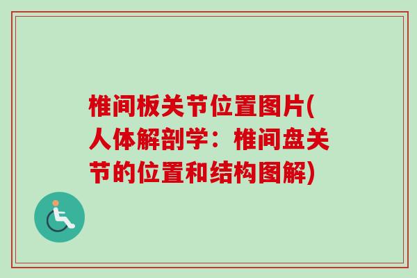 椎间板关节位置图片(人体解剖学：椎间盘关节的位置和结构图解)