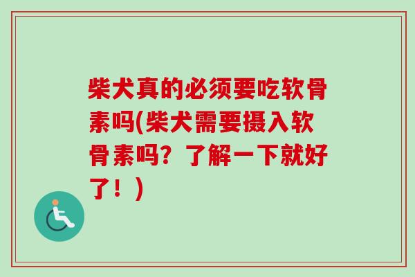 柴犬真的必须要吃软骨素吗(柴犬需要摄入软骨素吗？了解一下就好了！)