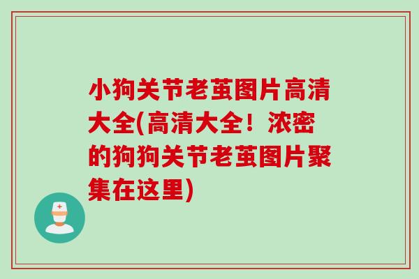 小狗关节老茧图片高清大全(高清大全!浓密的狗狗关节老茧图片聚集在这里) 小狗关节老茧图片高清大全(高清大全!浓密的狗狗关节老茧图片聚集在这里)