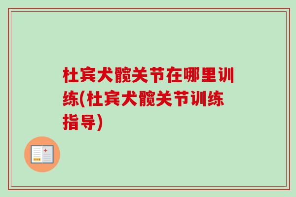 杜宾犬髋关节在哪里训练(杜宾犬髋关节训练指导)