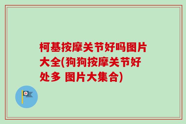 柯基按摩关节好吗图片大全(狗狗按摩关节好处多 图片大集合)