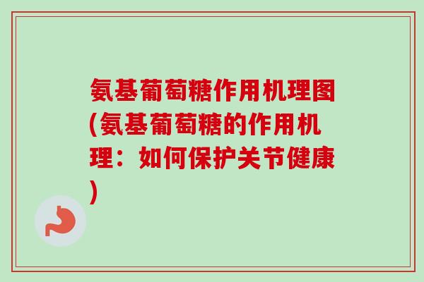 氨基葡萄糖作用机理图(氨基葡萄糖的作用机理：如何保护关节健康)