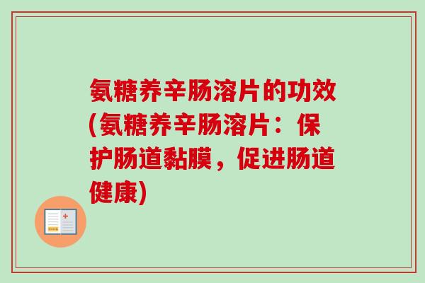 氨糖养辛肠溶片的功效(氨糖养辛肠溶片：保护肠道黏膜，促进肠道健康)