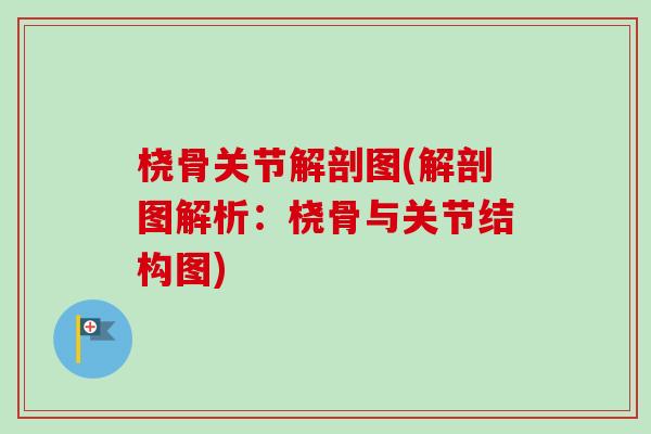 桡骨关节解剖图(解剖图解析：桡骨与关节结构图)
