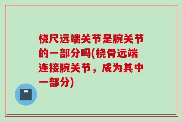 桡尺远端关节是腕关节的一部分吗(桡骨远端连接腕关节，成为其中一部分)
