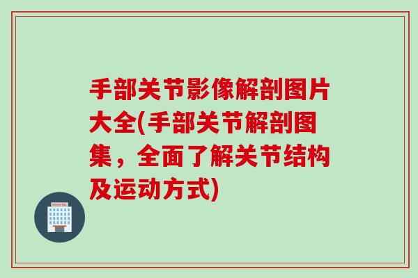手部关节影像解剖图片大全(手部关节解剖图集，全面了解关节结构及运动方式)
