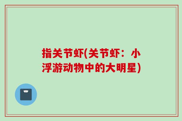 指关节虾(关节虾：小浮游动物中的大明星)