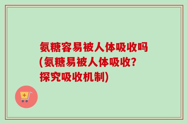 氨糖容易被人体吸收吗(氨糖易被人体吸收？探究吸收机制)