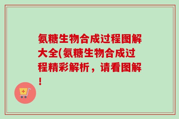 氨糖生物合成过程图解大全(氨糖生物合成过程精彩解析，请看图解！