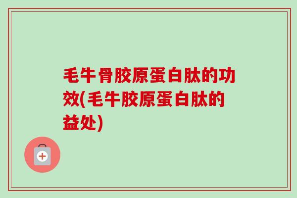毛牛骨胶原蛋白肽的功效(毛牛胶原蛋白肽的益处)