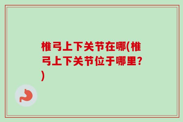 椎弓上下关节在哪(椎弓上下关节位于哪里？)