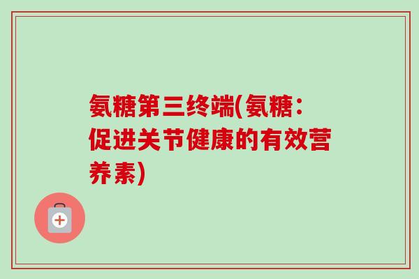 氨糖第三终端(氨糖：促进关节健康的有效营养素)