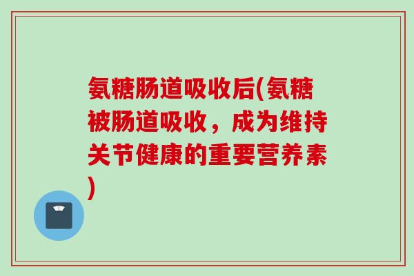 氨糖肠道吸收后(氨糖被肠道吸收，成为维持关节健康的重要营养素)