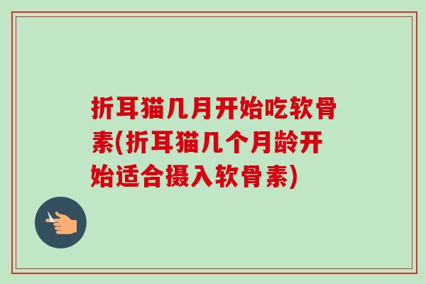 折耳猫几月开始吃软骨素(折耳猫几个月龄开始适合摄入软骨素)