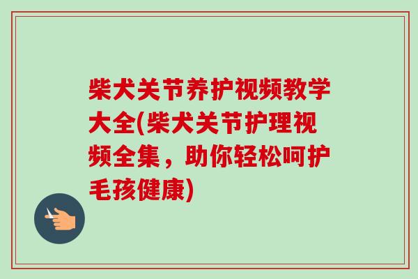 柴犬关节养护视频教学大全(柴犬关节护理视频全集，助你轻松呵护毛孩健康)