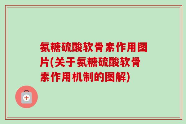 氨糖硫酸软骨素作用图片(关于氨糖硫酸软骨素作用机制的图解)
