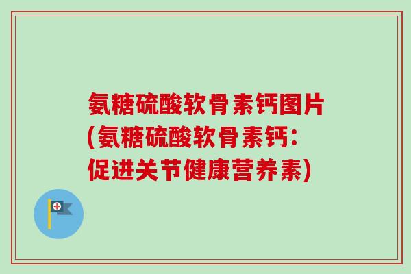 氨糖硫酸软骨素钙图片(氨糖硫酸软骨素钙：促进关节健康营养素)