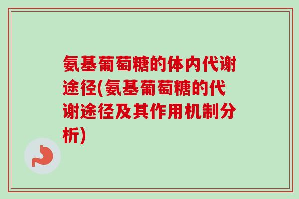 氨基葡萄糖的体内代谢途径(氨基葡萄糖的代谢途径及其作用机制分析)