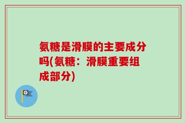 氨糖是滑膜的主要成分吗(氨糖：滑膜重要组成部分)