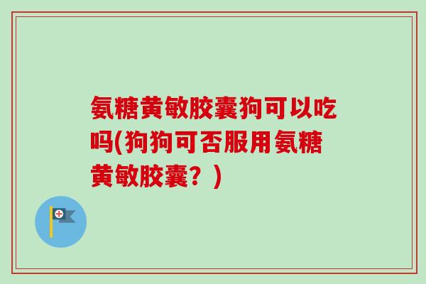 氨糖黄敏胶囊狗可以吃吗(狗狗可否服用氨糖黄敏胶囊？)