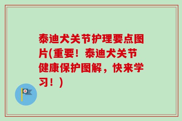 泰迪犬关节护理要点图片(重要！泰迪犬关节健康保护图解，快来学习！)