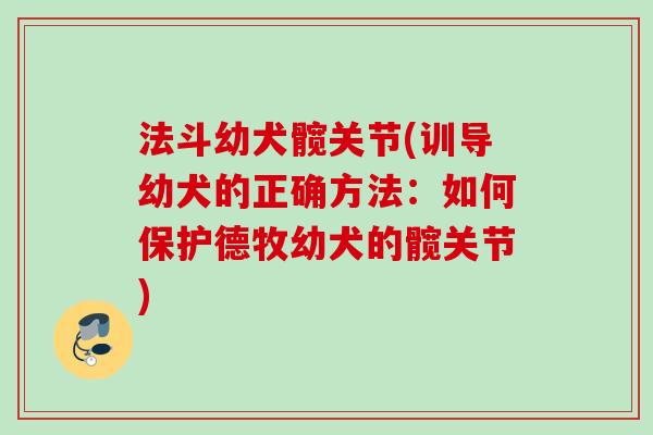 法斗幼犬髋关节(训导幼犬的正确方法：如何保护德牧幼犬的髋关节)