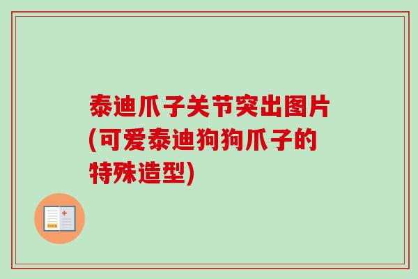 泰迪爪子关节突出图片(可爱泰迪狗狗爪子的特殊造型)