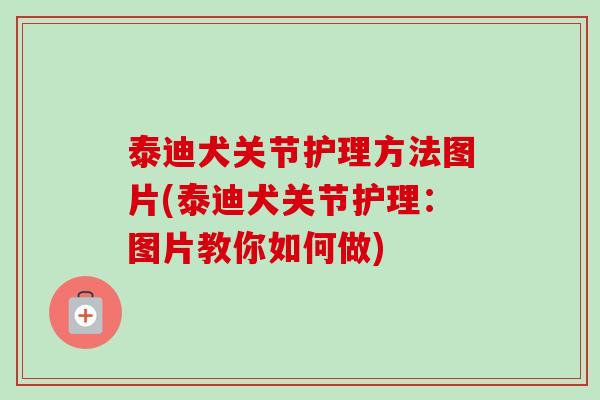泰迪犬关节护理方法图片(泰迪犬关节护理：图片教你如何做)