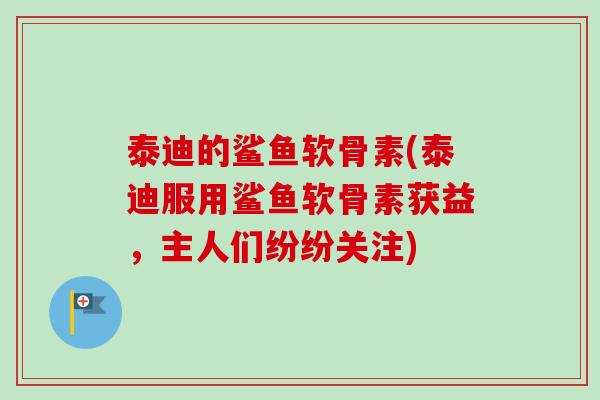 泰迪的鲨鱼软骨素(泰迪服用鲨鱼软骨素获益，主人们纷纷关注)