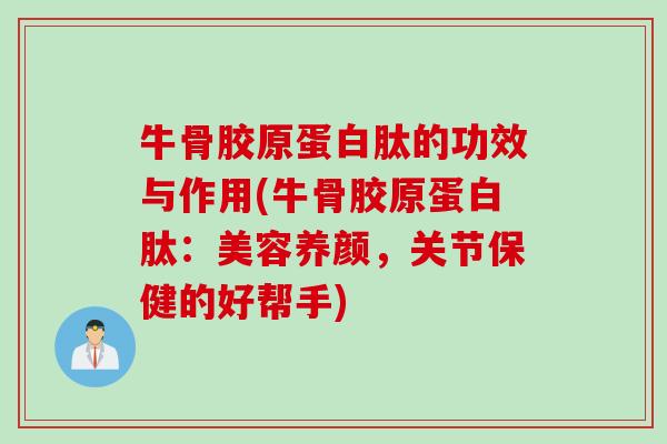 牛骨胶原蛋白肽的功效与作用(牛骨胶原蛋白肽：美容养颜，关节保健的好帮手)