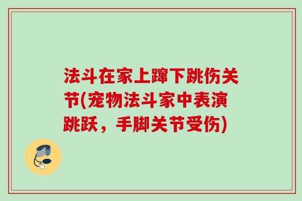 法斗在家上蹿下跳伤关节(宠物法斗家中表演跳跃，手脚关节受伤)