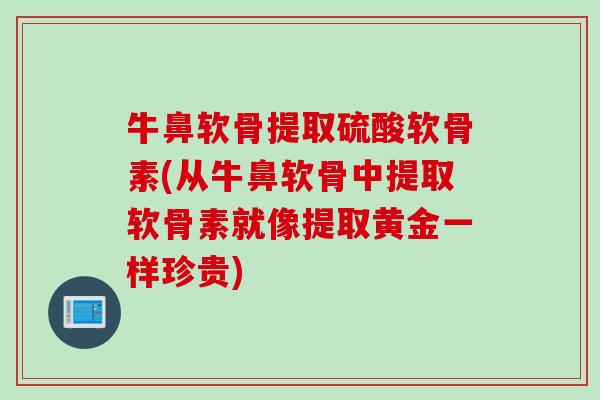 牛鼻软骨提取硫酸软骨素(从牛鼻软骨中提取软骨素就像提取黄金一样珍贵)