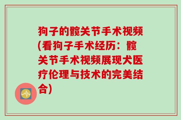 狗子的髋关节手术视频(看狗子手术经历：髋关节手术视频展现犬医疗伦理与技术的完美结合)