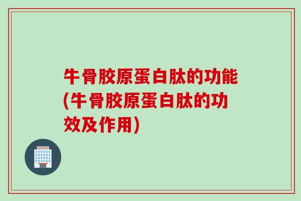 牛骨胶原蛋白肽的功能(牛骨胶原蛋白肽的功效及作用)