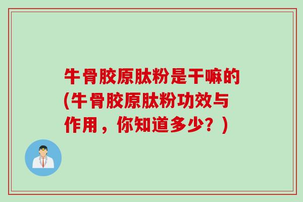 牛骨胶原肽粉是干嘛的(牛骨胶原肽粉功效与作用，你知道多少？)