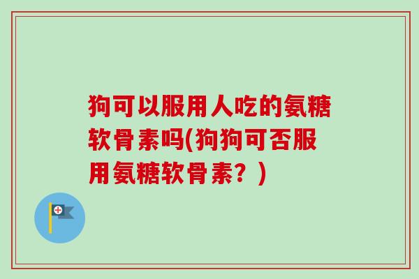 狗可以服用人吃的氨糖软骨素吗(狗狗可否服用氨糖软骨素？)