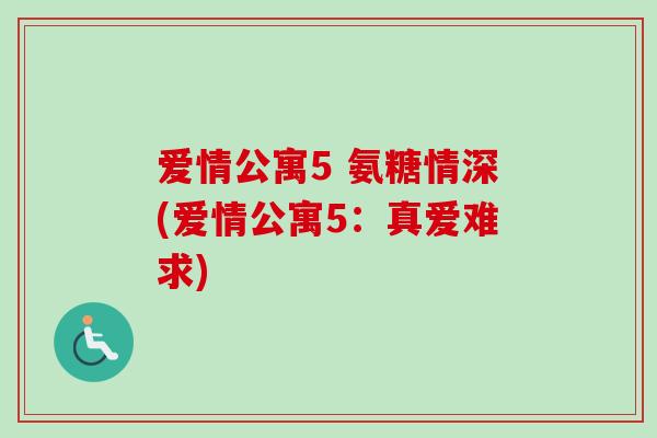 爱情公寓5 氨糖情深(爱情公寓5：真爱难求)