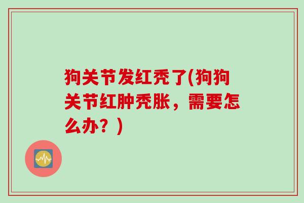 狗关节发红秃了(狗狗关节红肿秃胀，需要怎么办？)