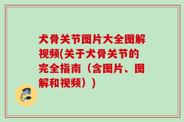 犬骨关节图片大全图解视频(关于犬骨关节的完全指南（含图片、图解和视频）)