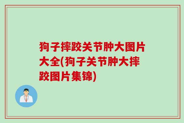 狗子摔跤关节肿大图片大全(狗子关节肿大摔跤图片集锦)