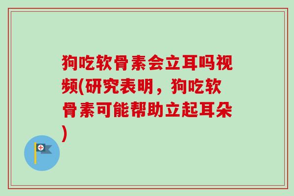 狗吃软骨素会立耳吗视频(研究表明，狗吃软骨素可能帮助立起耳朵)