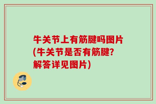牛关节上有筋腱吗图片(牛关节是否有筋腱？解答详见图片)
