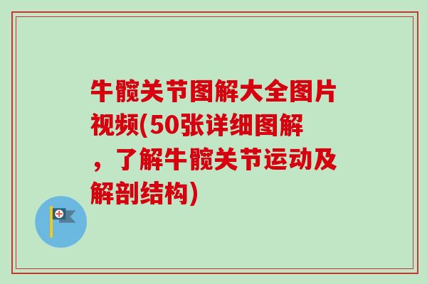 牛髋关节图解大全图片视频(50张详细图解，了解牛髋关节运动及解剖结构)