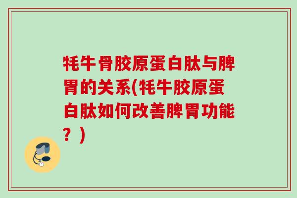 牦牛骨胶原蛋白肽与脾胃的关系(牦牛胶原蛋白肽如何改善脾胃功能？)