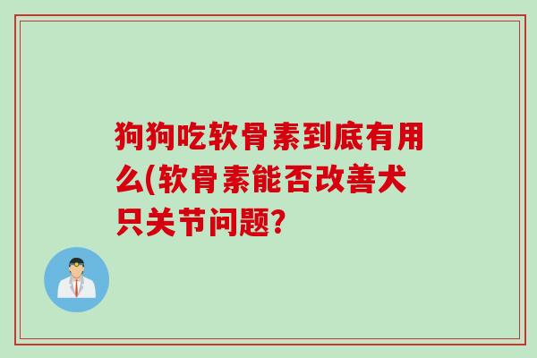 狗狗吃软骨素到底有用么(软骨素能否改善犬只关节问题？