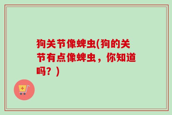 狗关节像蜱虫(狗的关节有点像蜱虫,你知道吗?) 狗关节像蜱虫(狗的关节有点像蜱虫,你知道吗?)