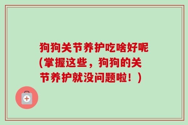 狗狗关节养护吃啥好呢(掌握这些，狗狗的关节养护就没问题啦！)