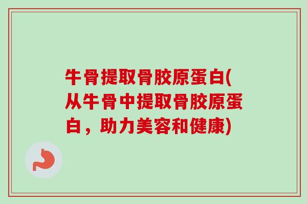 牛骨提取骨胶原蛋白(从牛骨中提取骨胶原蛋白，助力美容和健康)