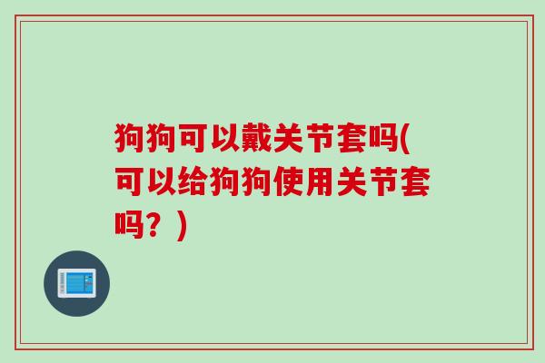 狗狗可以戴关节套吗(可以给狗狗使用关节套吗？)
