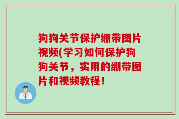 狗狗关节保护绷带图片视频(学习如何保护狗狗关节，实用的绷带图片和视频教程！